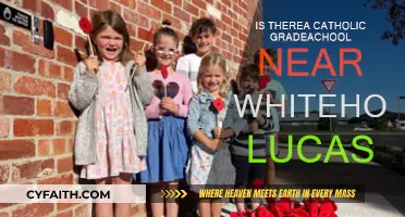 Catholic Education Options Near the White House