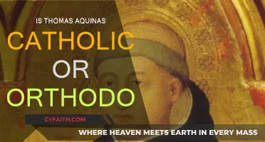 Thomas Aquinas: Catholic or Orthodox?