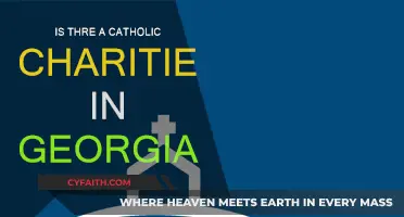 Catholic Charities: Georgia's Helping Hand
