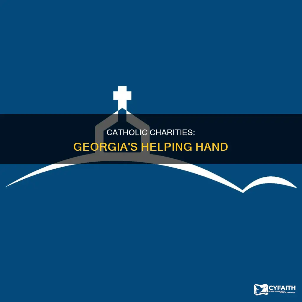 is thre a catholic charities in georgia
