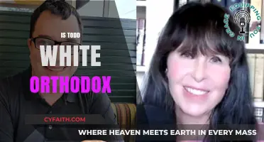Is Todd White Orthodox? Examining His Theology and Practices