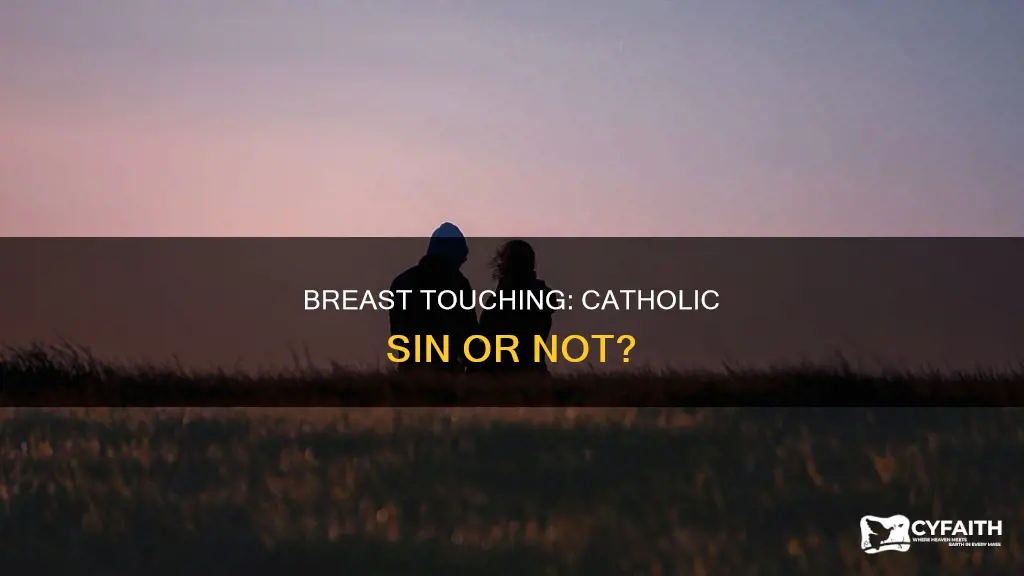 is touching breast a sin catholic