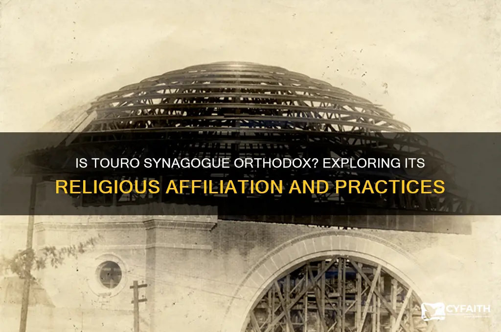is touro synagogue orthodox