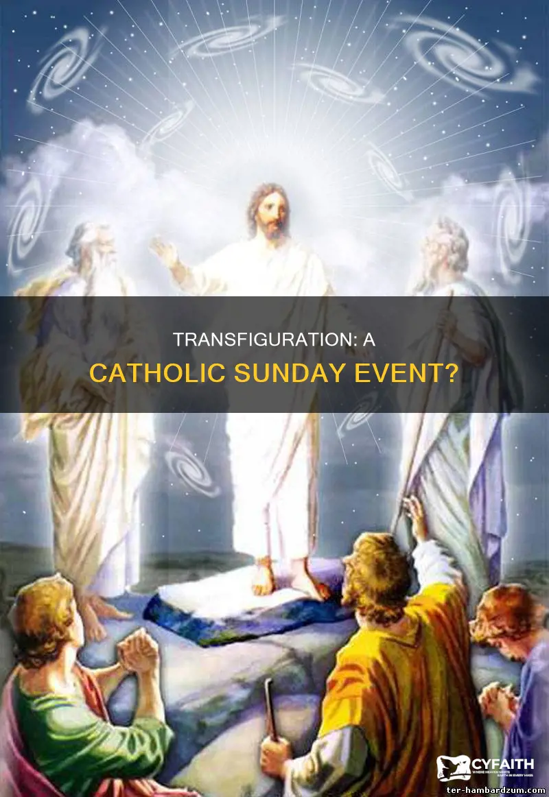 is transfiguration a catholic sunday event