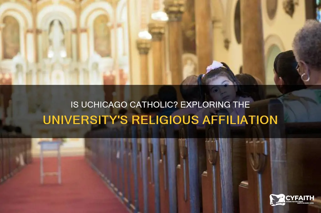 is uchicago catholic