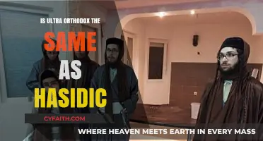Ultra-Orthodox vs. Hasidic: Understanding the Key Differences and Similarities
