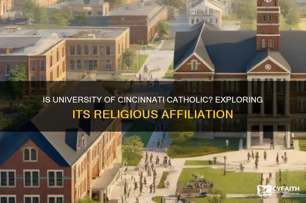 is university of cincinnati catholic