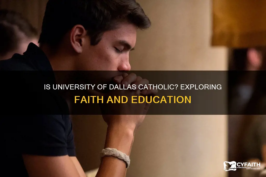 is university of dallas catholic