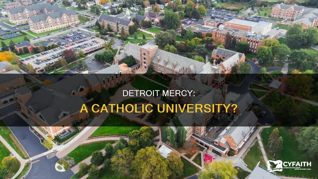 is university of detroit mercy catholic