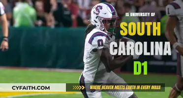 Is University of South Carolina D1? Exploring Its Athletic Division