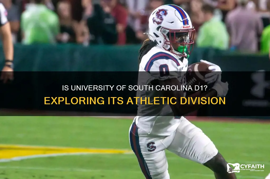 is university of south carolina d1