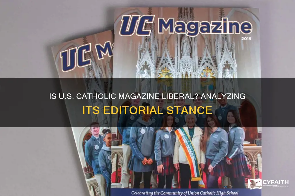 is us catholic magazine liberal