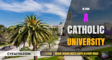 Is USD a Catholic University? Exploring the Faith-Based Identity