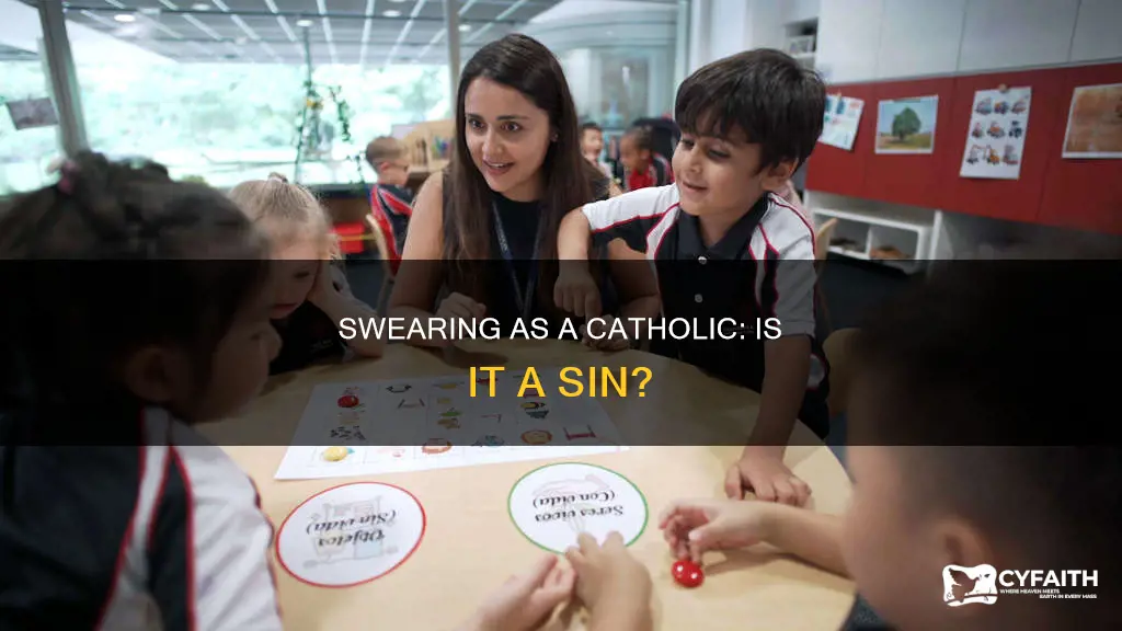is usind foul language sin as a catholic