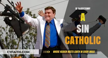 Is Vasectomy a Sin in Catholic Teachings? Exploring Moral Perspectives