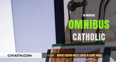 Is Veritas Omnibus a Catholic Principle? Exploring Truth and Faith