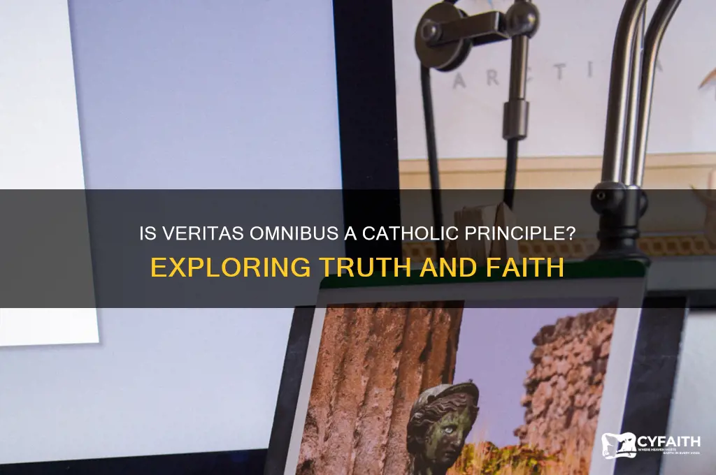 is veritas omnibus catholic