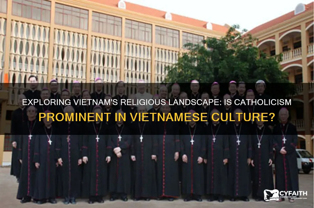 is vietnam catholic