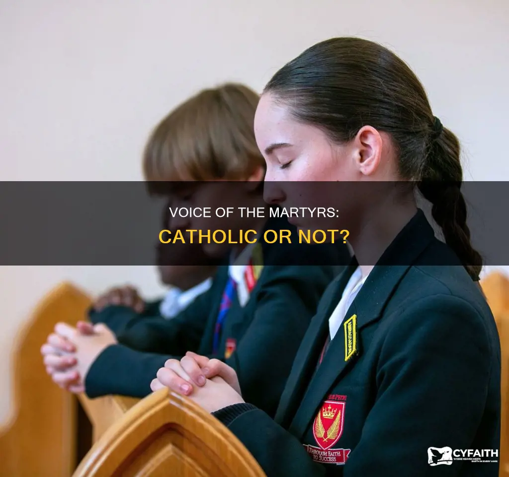 is voice of the martyrs catholic