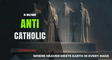 Voltaire's Critique of Catholicism: Anti-Catholic or Social Commentary?