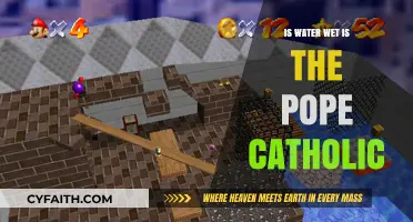 The Wetness of Water and Catholic Pope: A Paradox?
