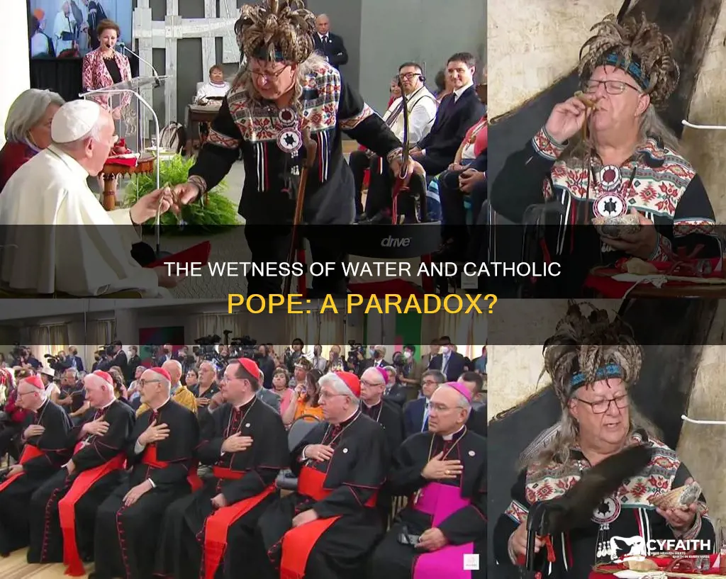 is water wet is the pope catholic