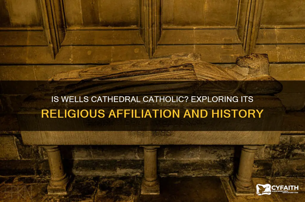 is wells cathedral catholic