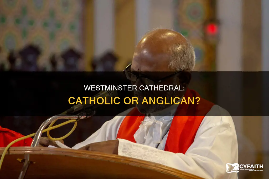 is westminster cathedral catholic or anglican