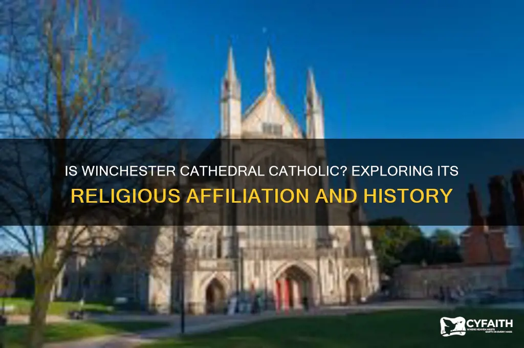 is winchester cathedral catholic