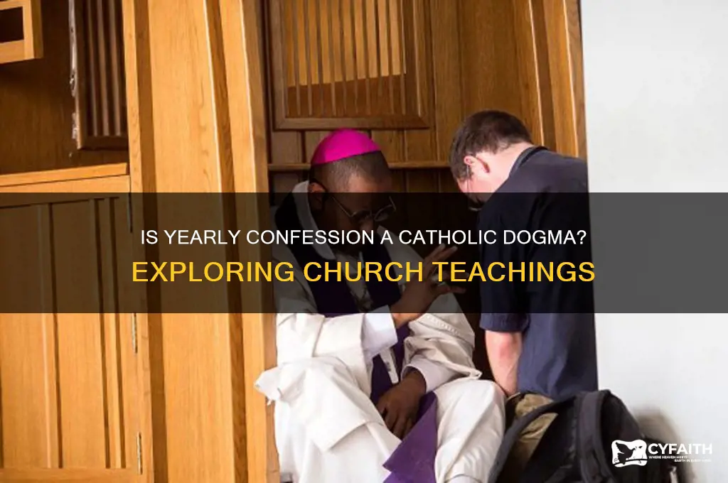 is yearly confession catholic dogma