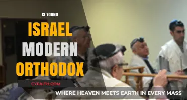 Is Young Israel Modern Orthodox? Exploring Jewish Observance Today
