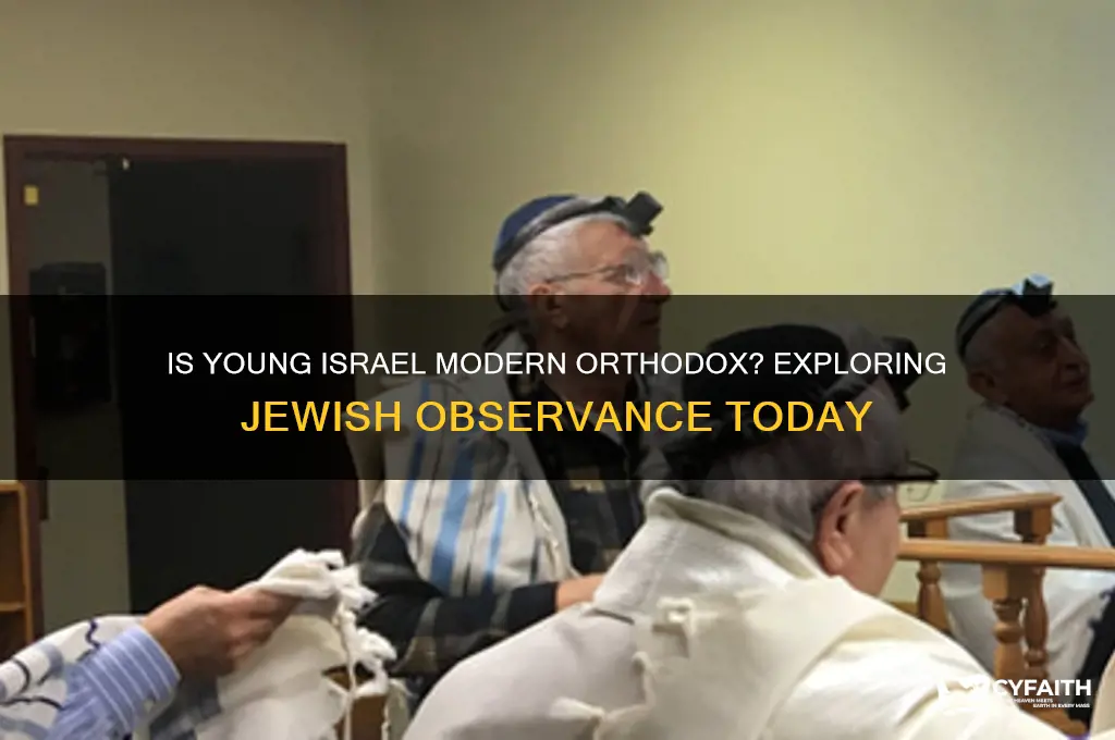 is young israel modern orthodox