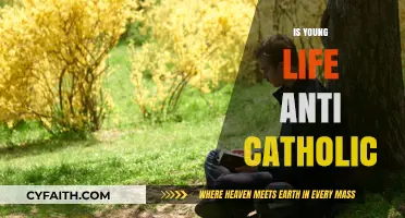 Is Young Life Anti-Catholic? Exploring Faith, Inclusivity, and Concerns