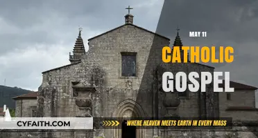 May 11 Catholic Gospel Reflection: Insights and Inspiration for Daily Living