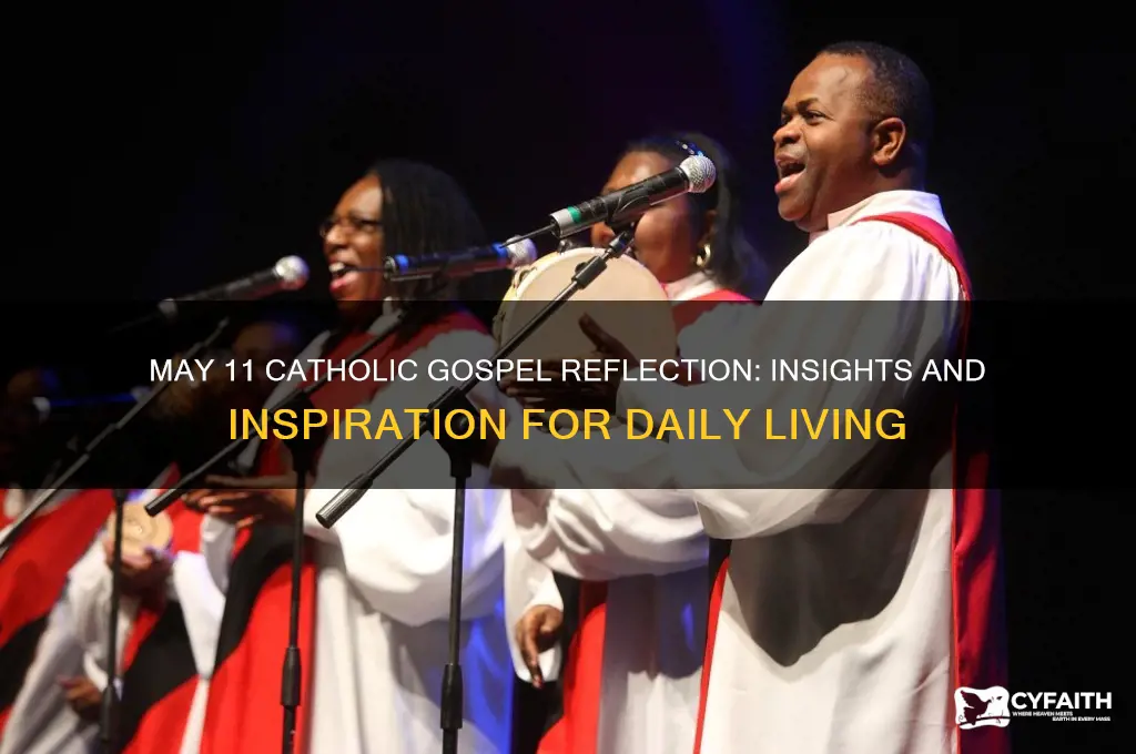 may 11 catholic gospel