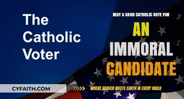 Can Faithful Catholics Support Immoral Candidates? A Moral Dilemma
