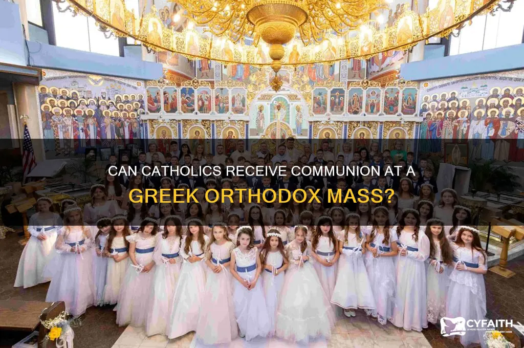may catholics receive communion at a greek orthodox mass