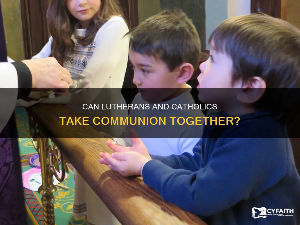 may i receive communion with lutherans catholic answers