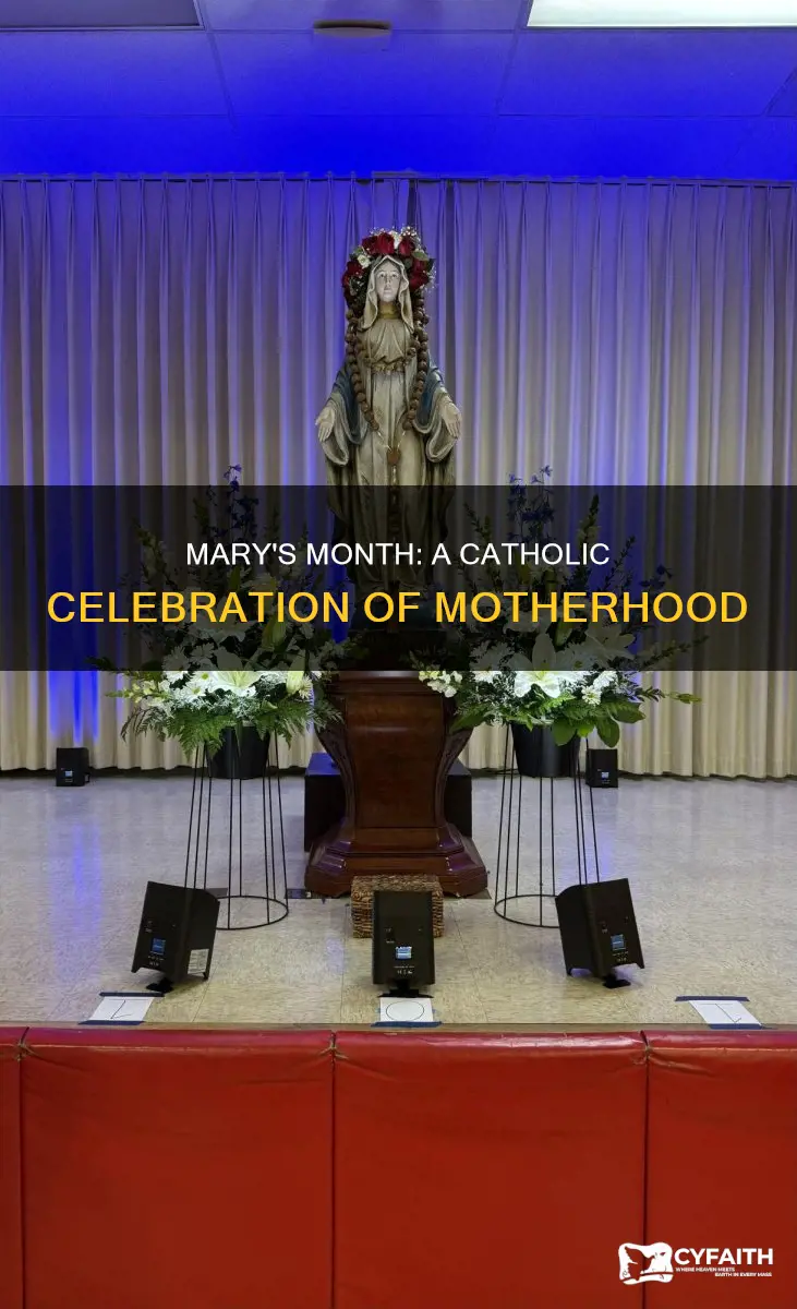 may is mary