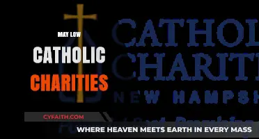 May Low Catholic Charities: Impact, Challenges, and Community Support