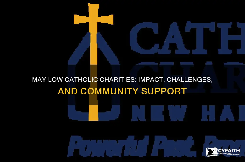 may low catholic charities