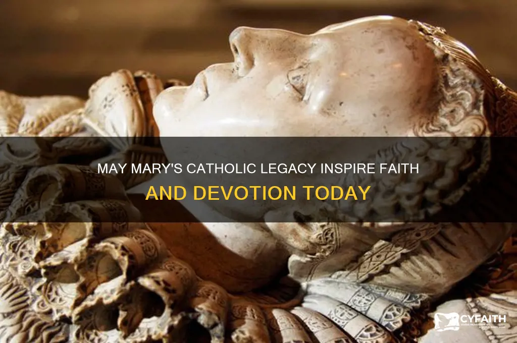 may mary catholic