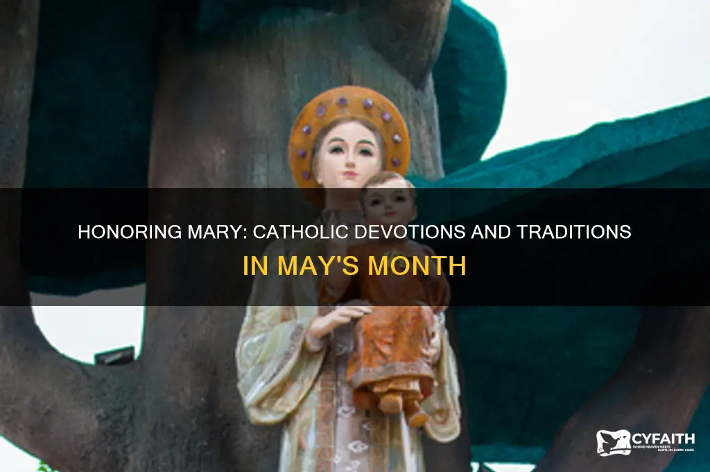 may month of mary catholic
