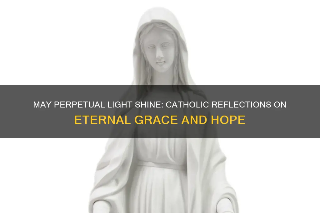 may perpetual light shine catholic
