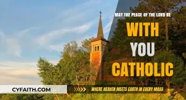 May the Peace of the Lord Be with You: Catholic Reflections
