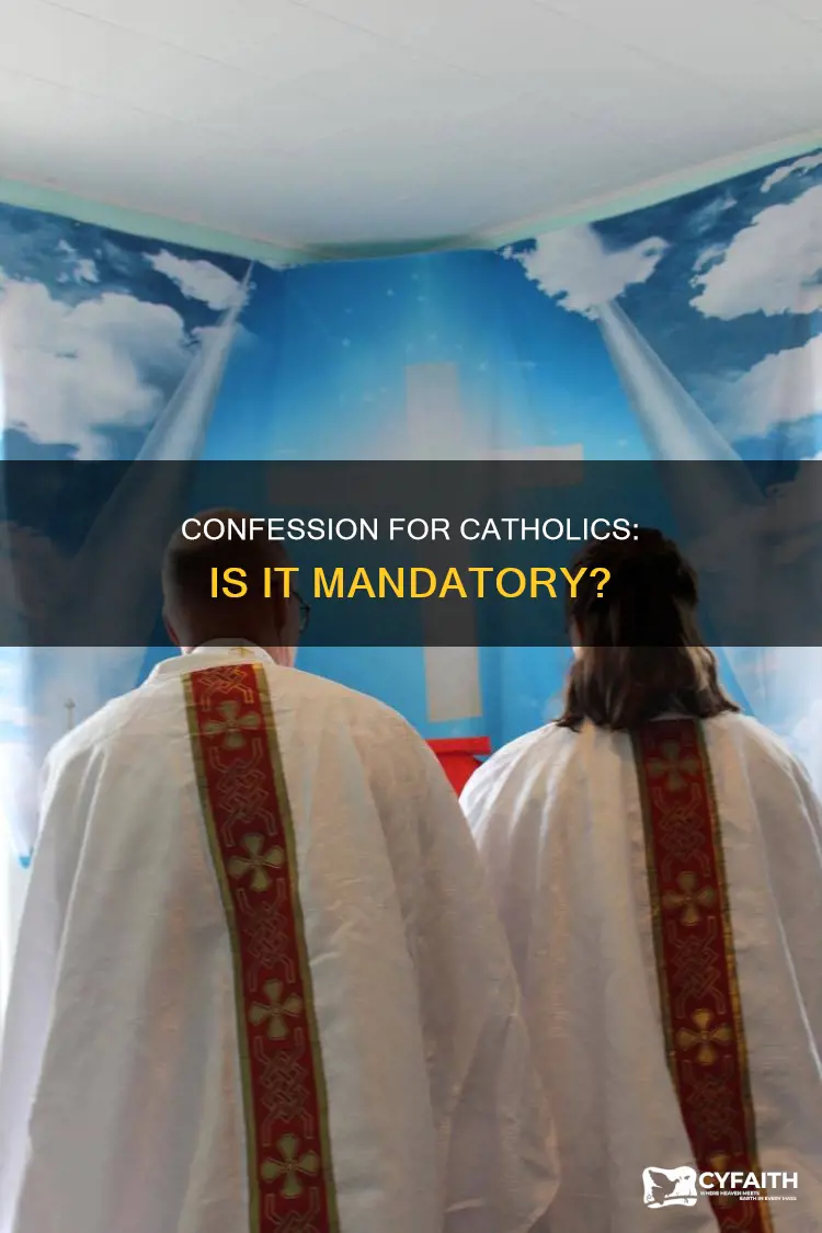 must a catholic go to confession