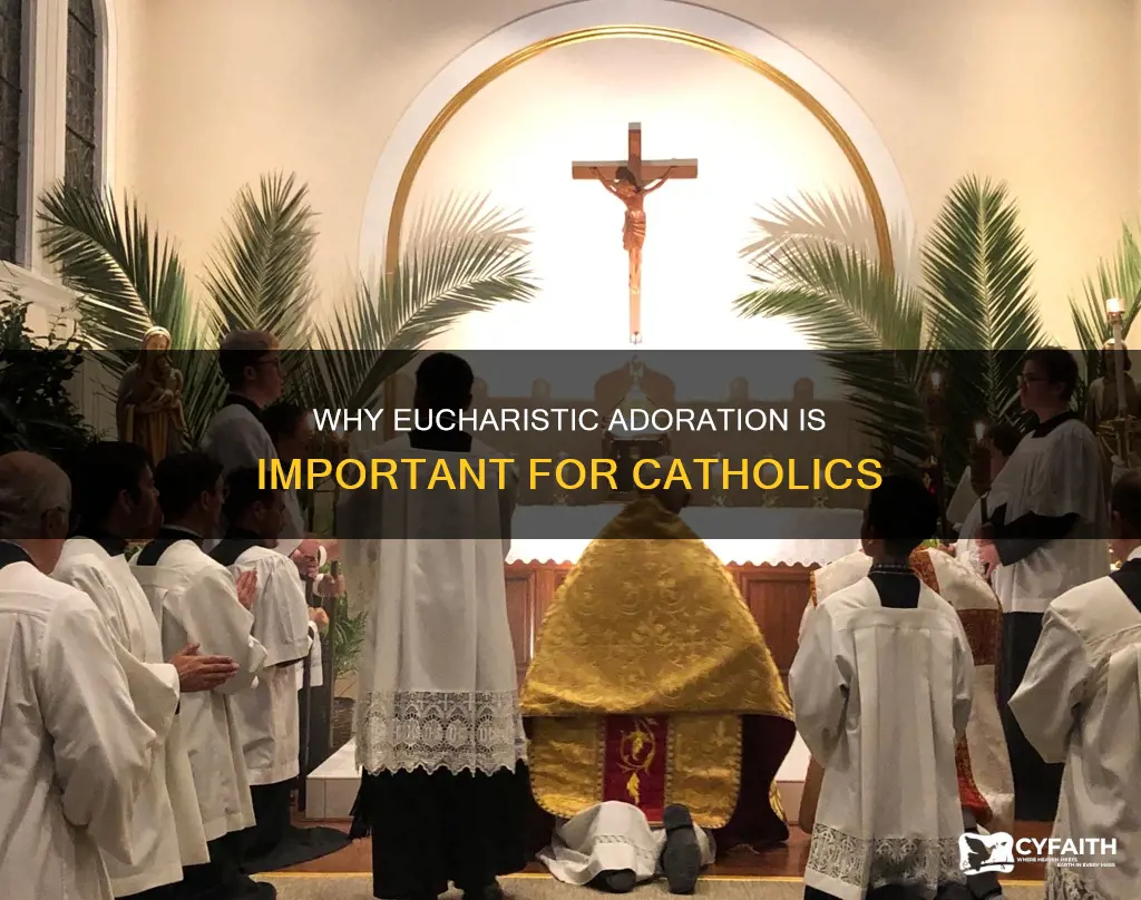 must catholics go to eucharistic adoration