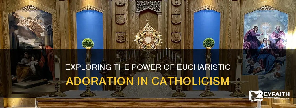 must catholics go to euvcharistic adoration