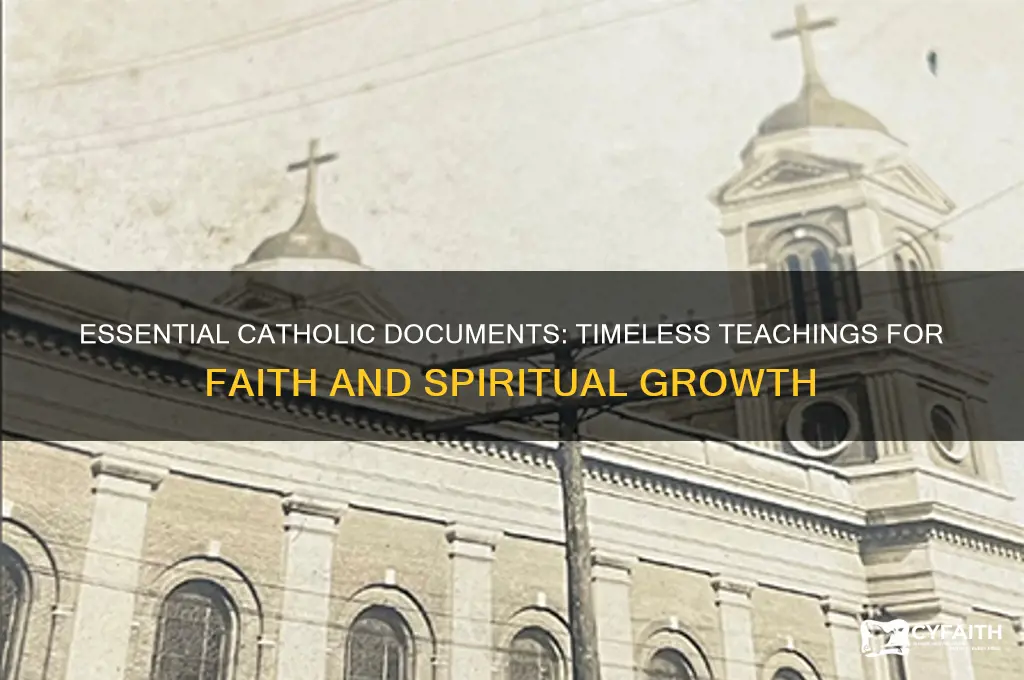 must read catholic documents