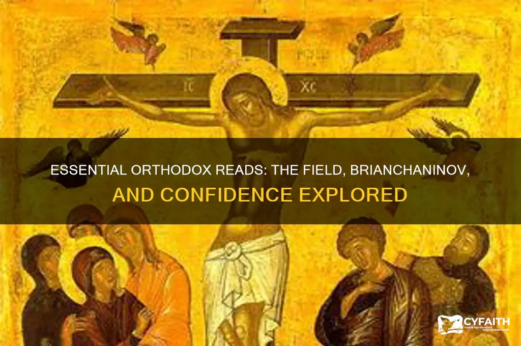 must read orthodox books the field brianchaninov confidence